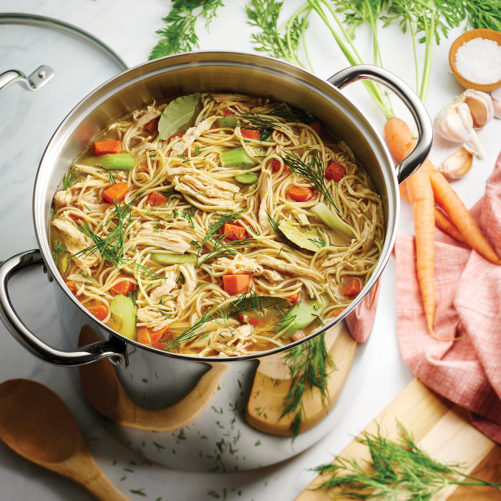 Covered Stainless Steel Stock Pot