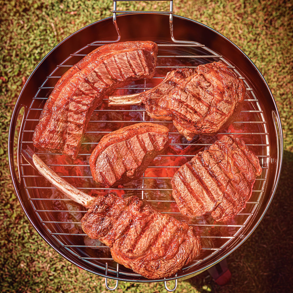 15.5 Inch Stainless Steel Round BBQ Charcoal Grill with Lid
