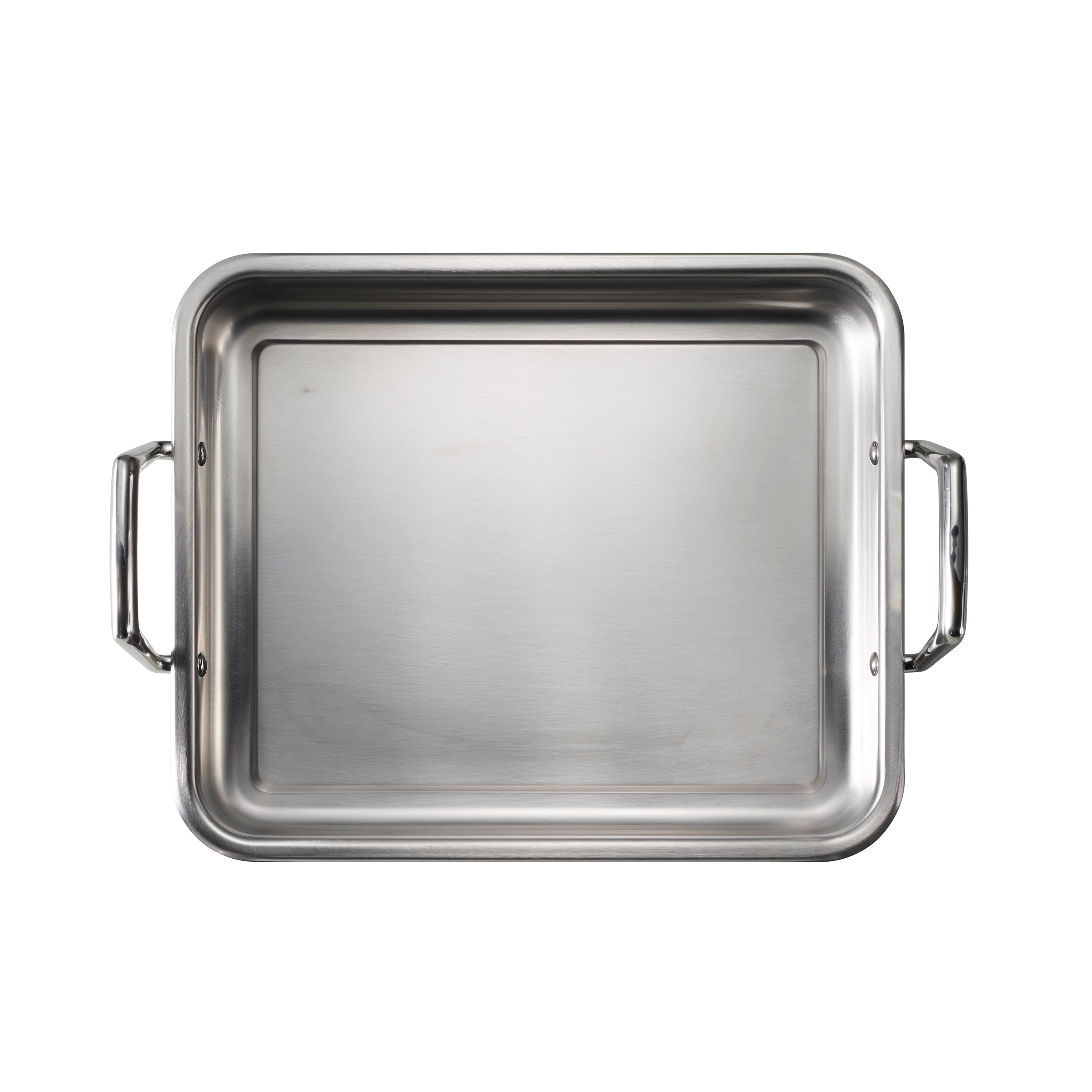 Stainless Steel Roasting Pan with Basting Grill