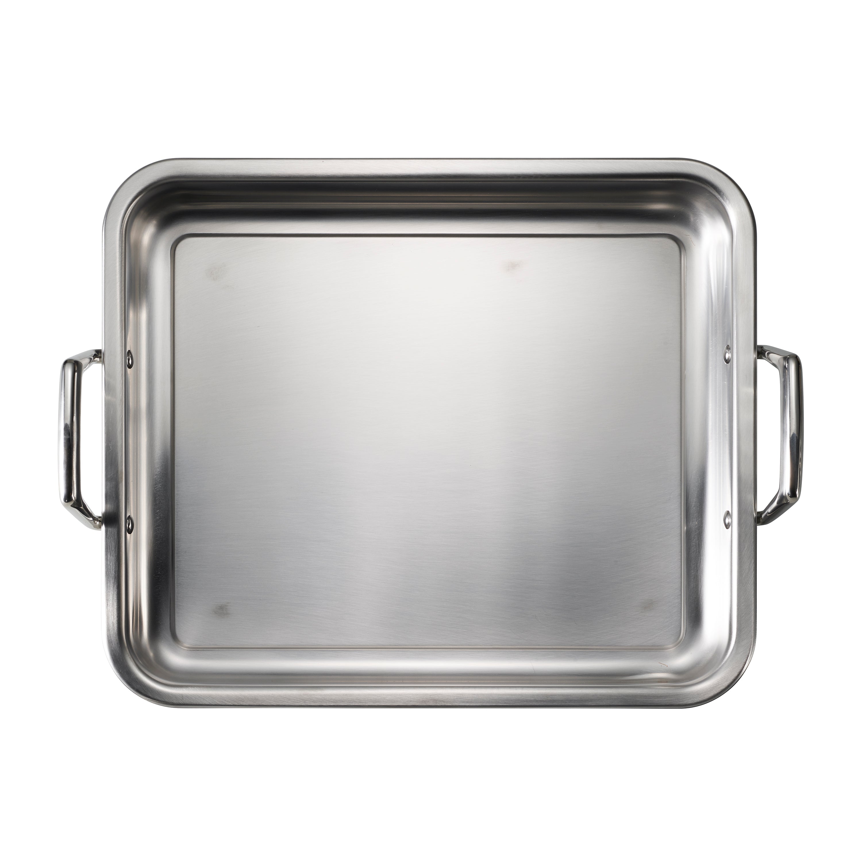 Stainless Steel Roasting Pan with Basting Grill